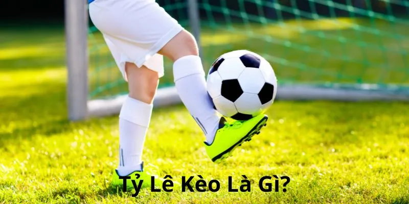 Giới thiệu sơ qua về thuật ngữ tỷ lệ của kèo cược bóng đá