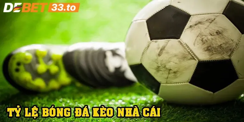 Kinh nghiệm soi tỷ lệ kèo nhà cái hiệu quả từ chuyên gia